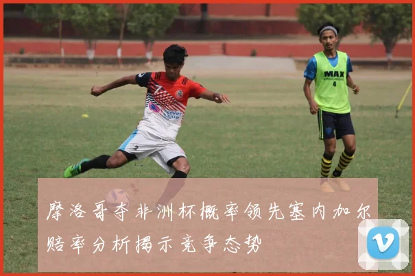 摩洛哥夺非洲杯概率领先塞内加尔赔率分析揭示竞争态势