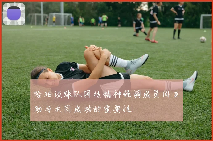 哈珀谈球队团结精神强调成员间互助与共同成功的重要性